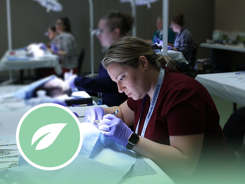 spring_CE_2023_dentistry_WVC_Academy