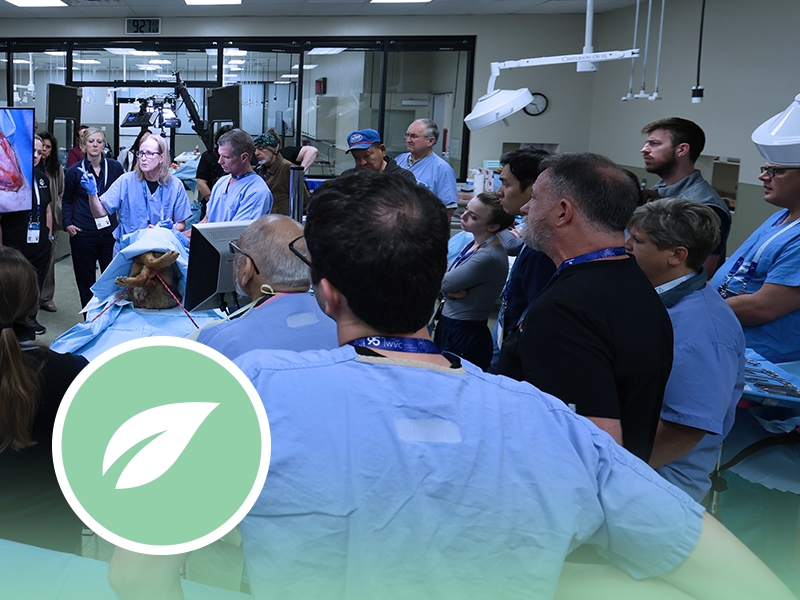 spring_CE_2023_dermatology_WVC_Academy