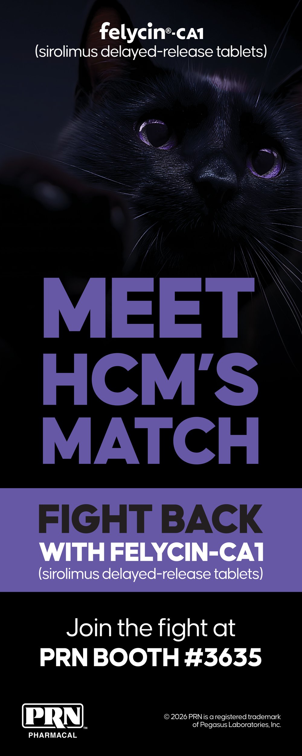 4226-9562_New_Product_Showcase