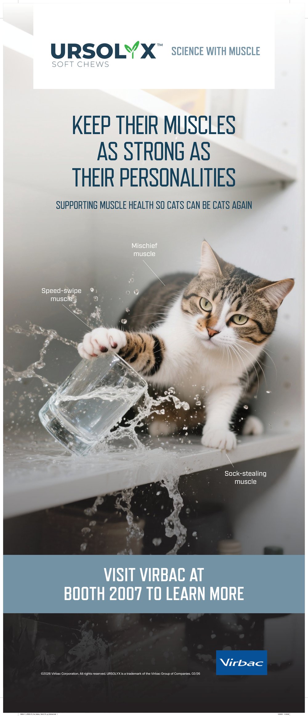 59904-11_URSOLYX_Cat_Gallery_18x45_FA_rg_Outlined_HR_X1a