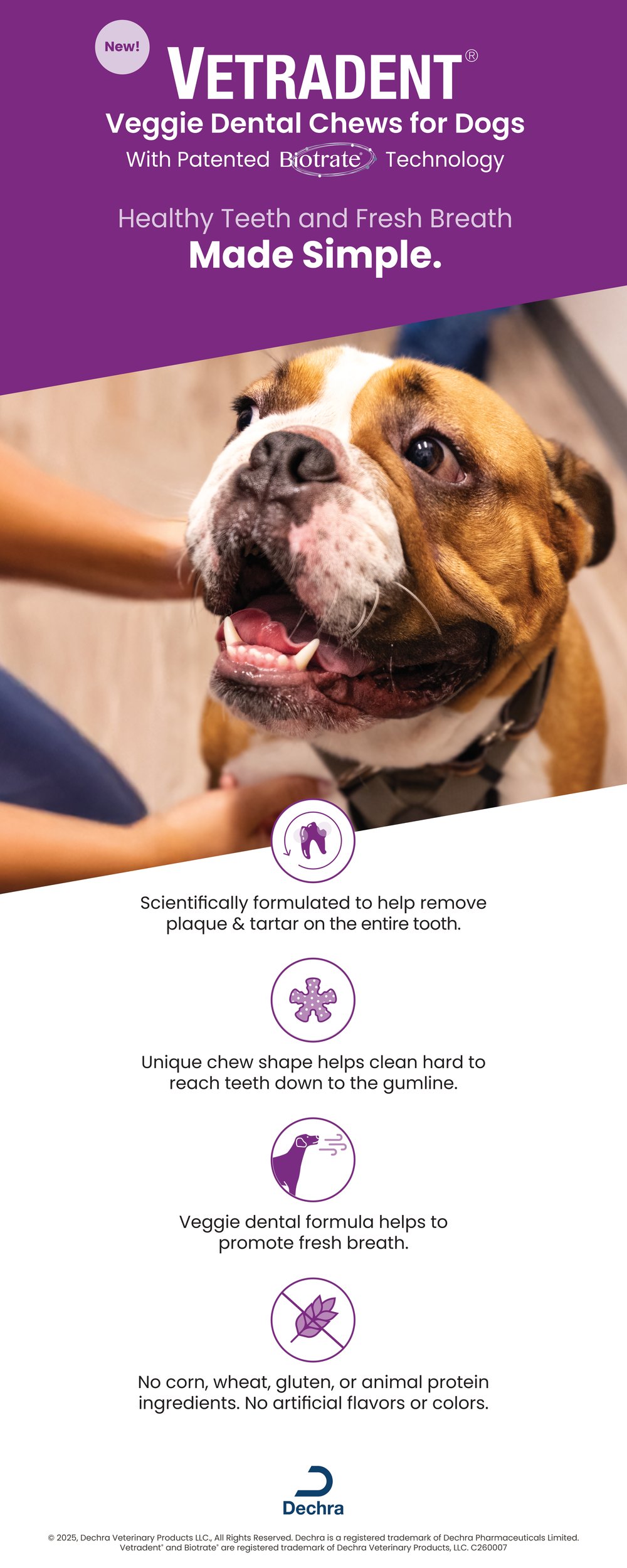 C260007-veggie-chews-back-panel