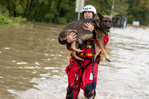 Disaster Preparedness_Flood 2