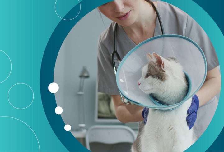 Email Banner_Vet Techs