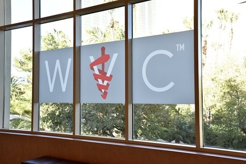 Window Cling