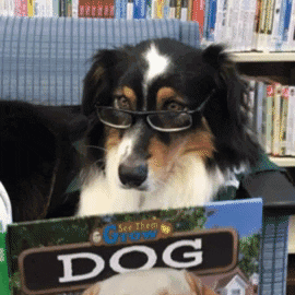 dogreading