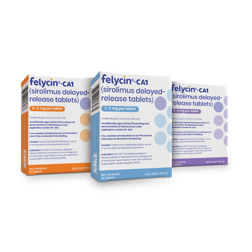 Felycin-CA1_12ct_Group_500x500px