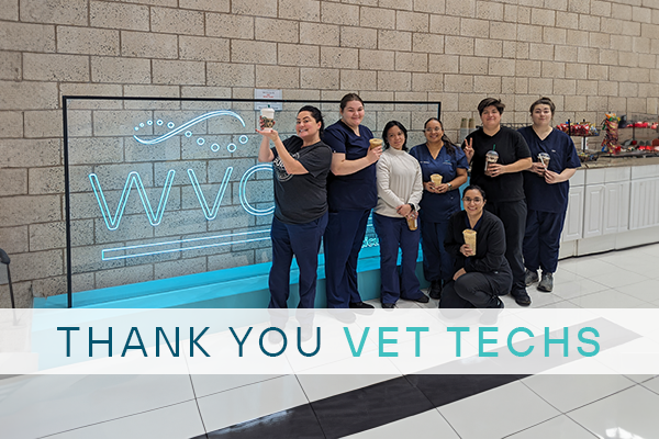 Happy Vet Tech Week_Email Header_V1
