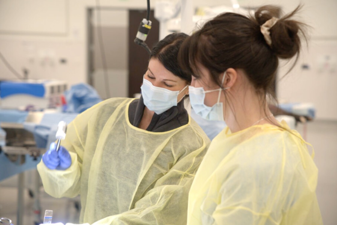 KNACK image - hol still