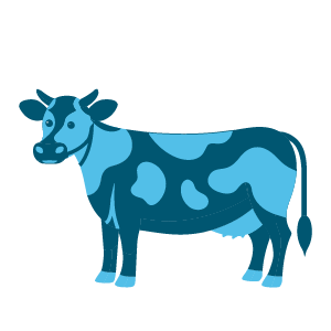 LV2026_show look assets_Cow