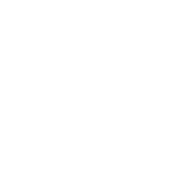 VG_white_favicon@2x