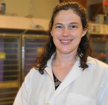 Plasma_Blong_feature-5-e1725284401620