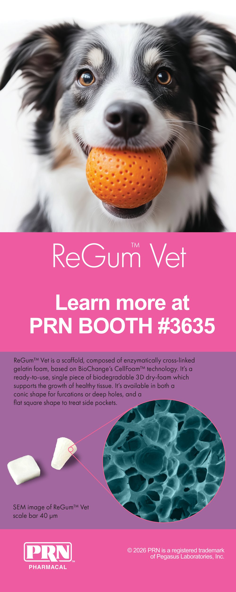 ReGum Vet_New_Product_Showcase
