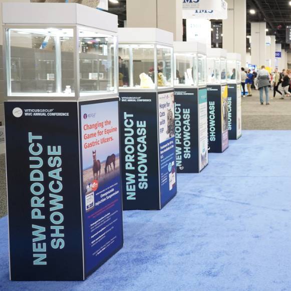 Screenshot 2026-02-10 at 4.10.13 PM