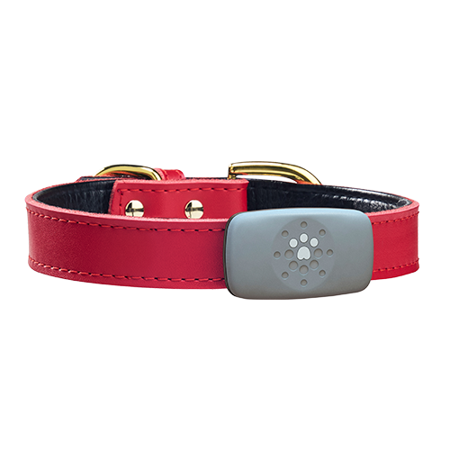 TrackerGPS-StudioRedCollar_500x500
