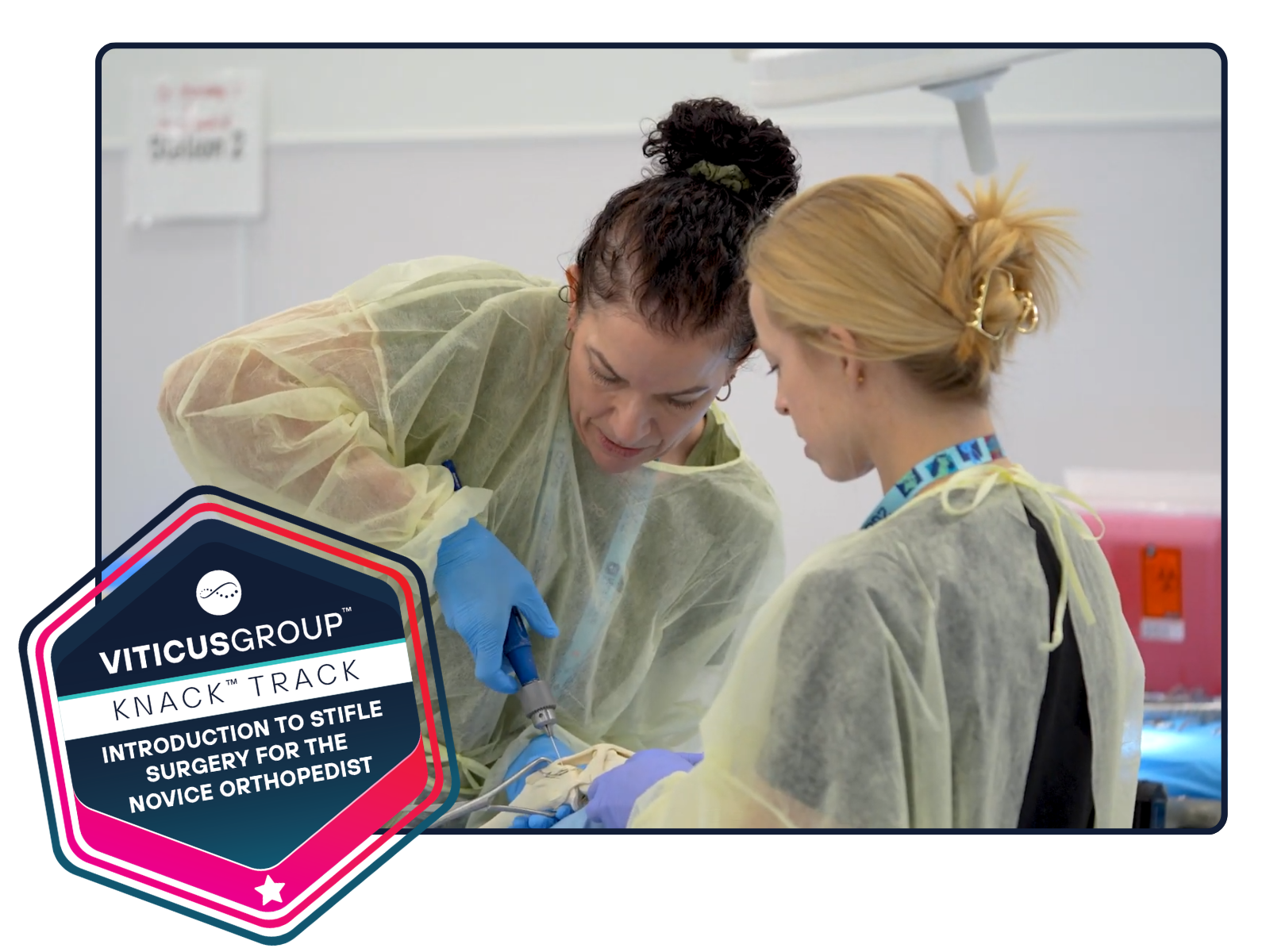 Untitled design (10)