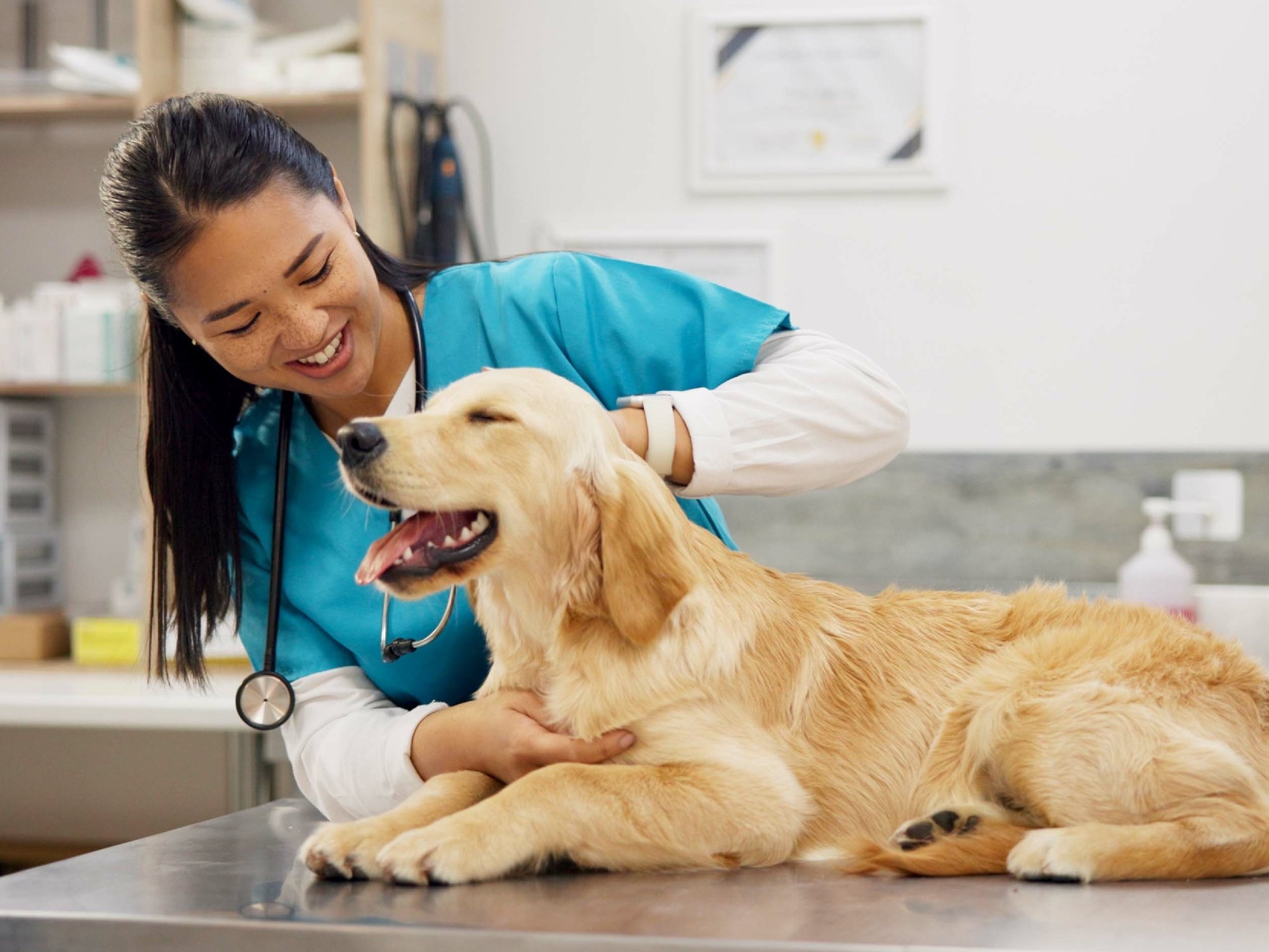 Vet Tech