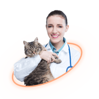 Vet_doctor_with_cat