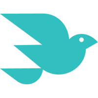Bird_Teal