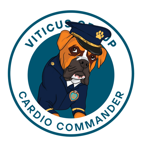cardio_commander@4x