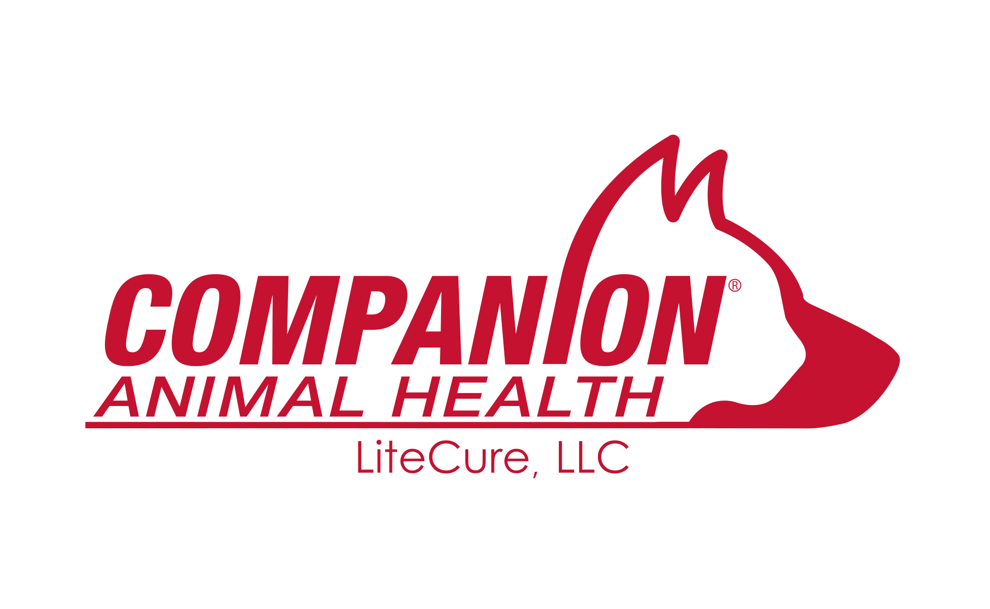 companion