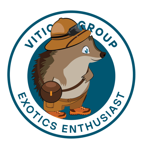 exotics_enthusiast@4x