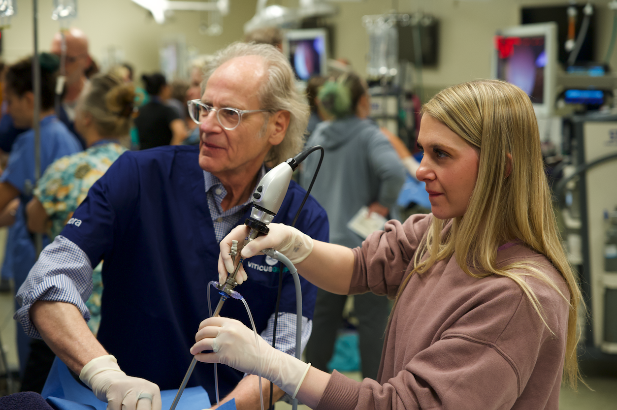 flexible and rigid endoscopy - HOL imagery