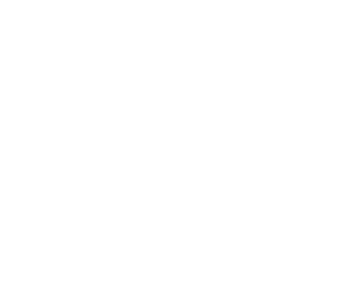 lg_icon_20