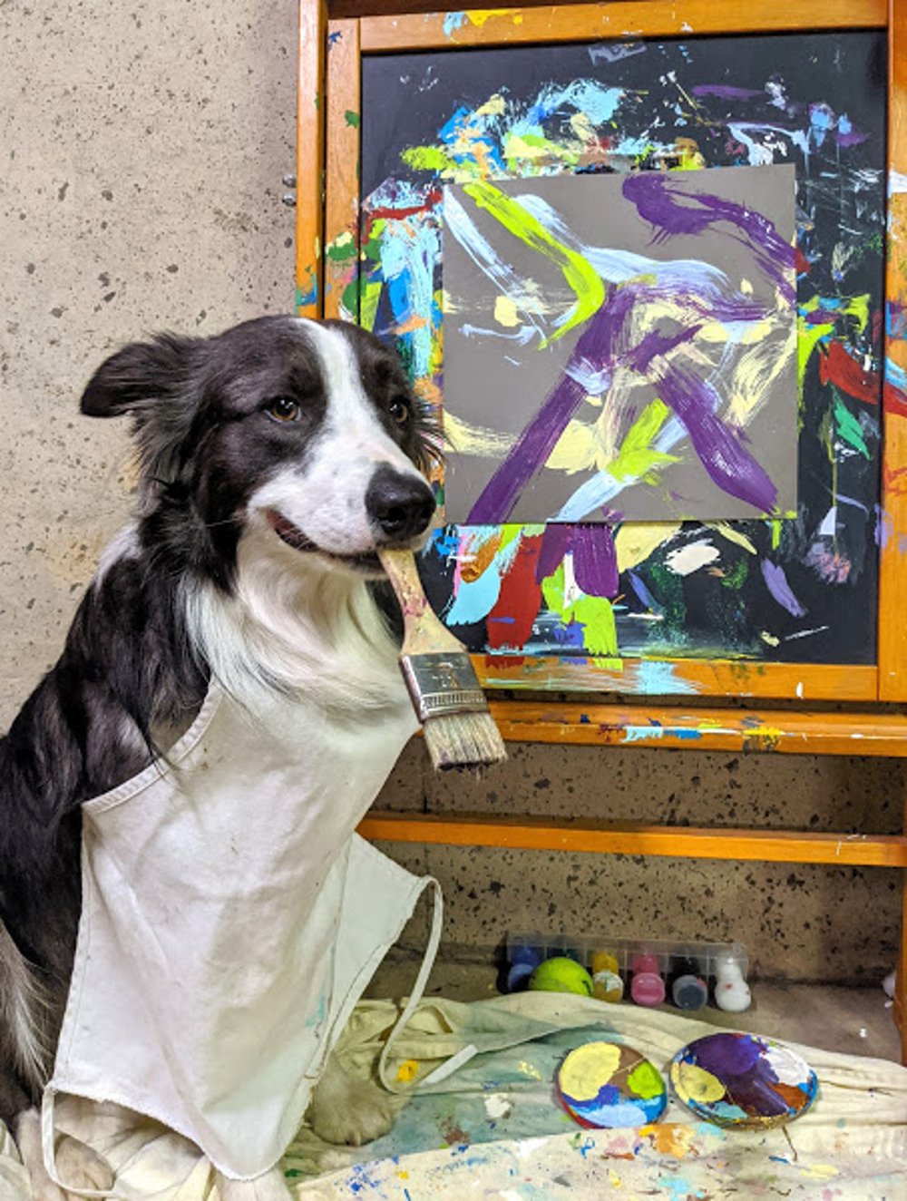 leonard the painting dog