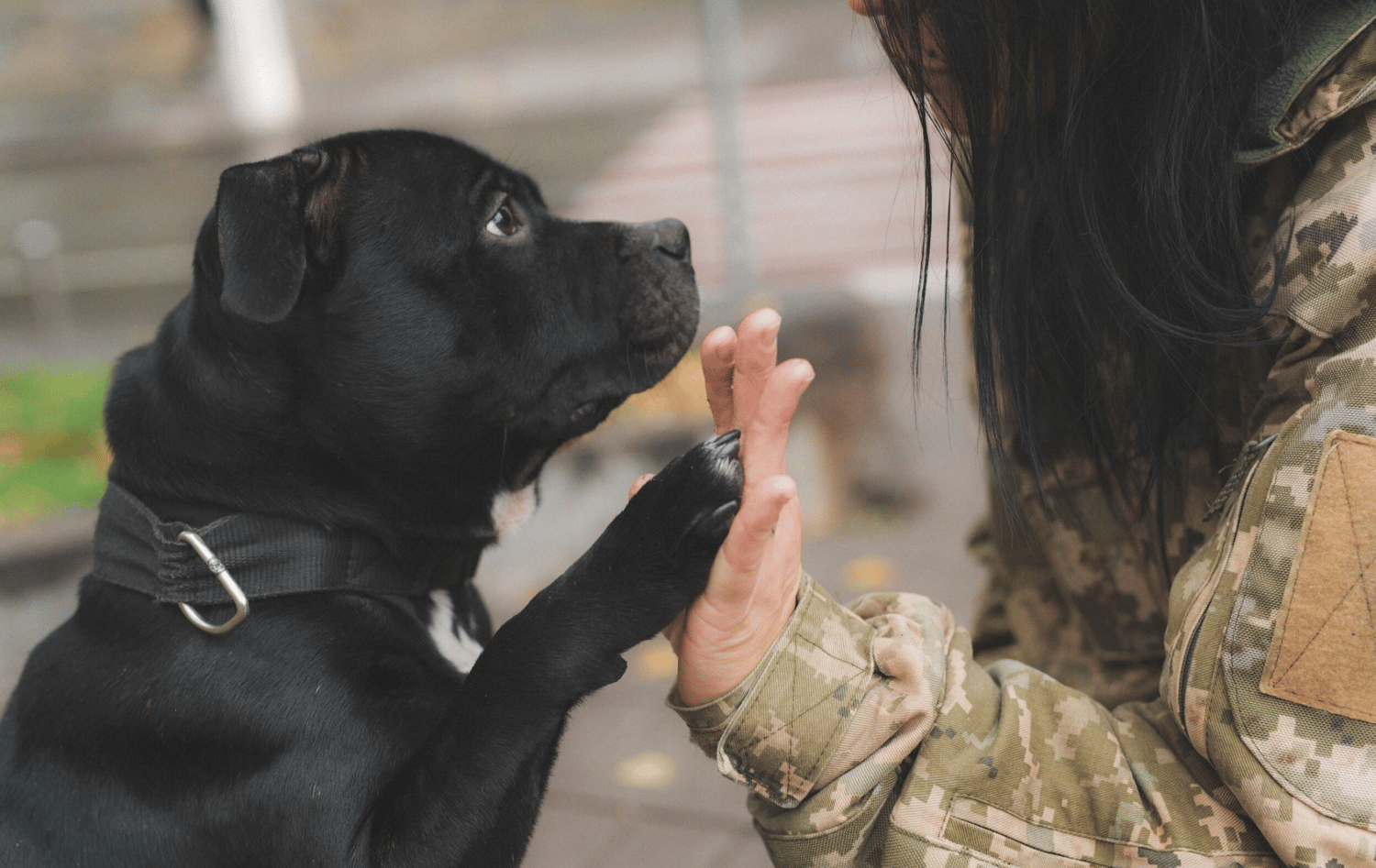 military woman with dog