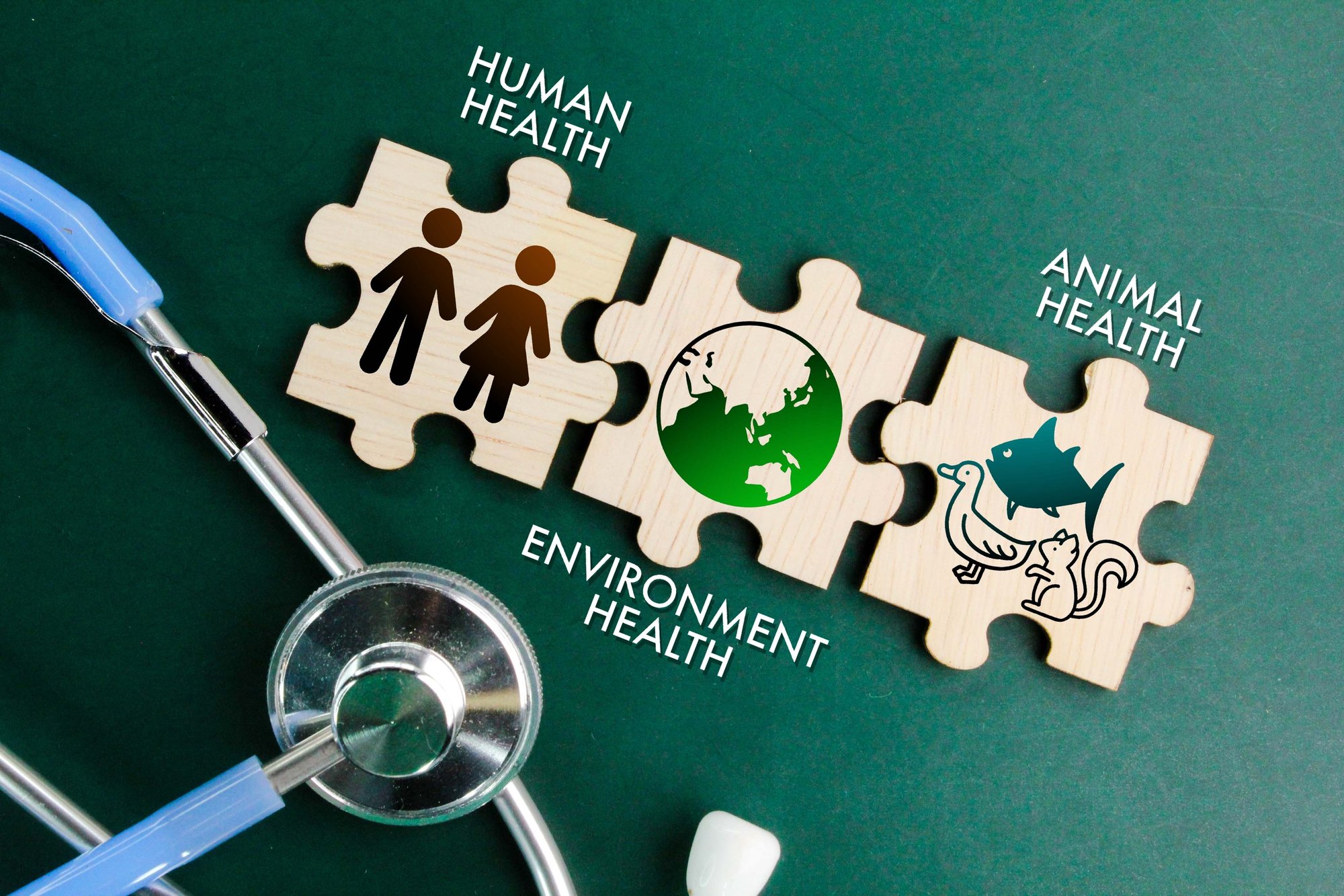 one_health-1