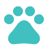 pets_24dp_40C0C0_FILL0_wght400_GRAD0_opsz24