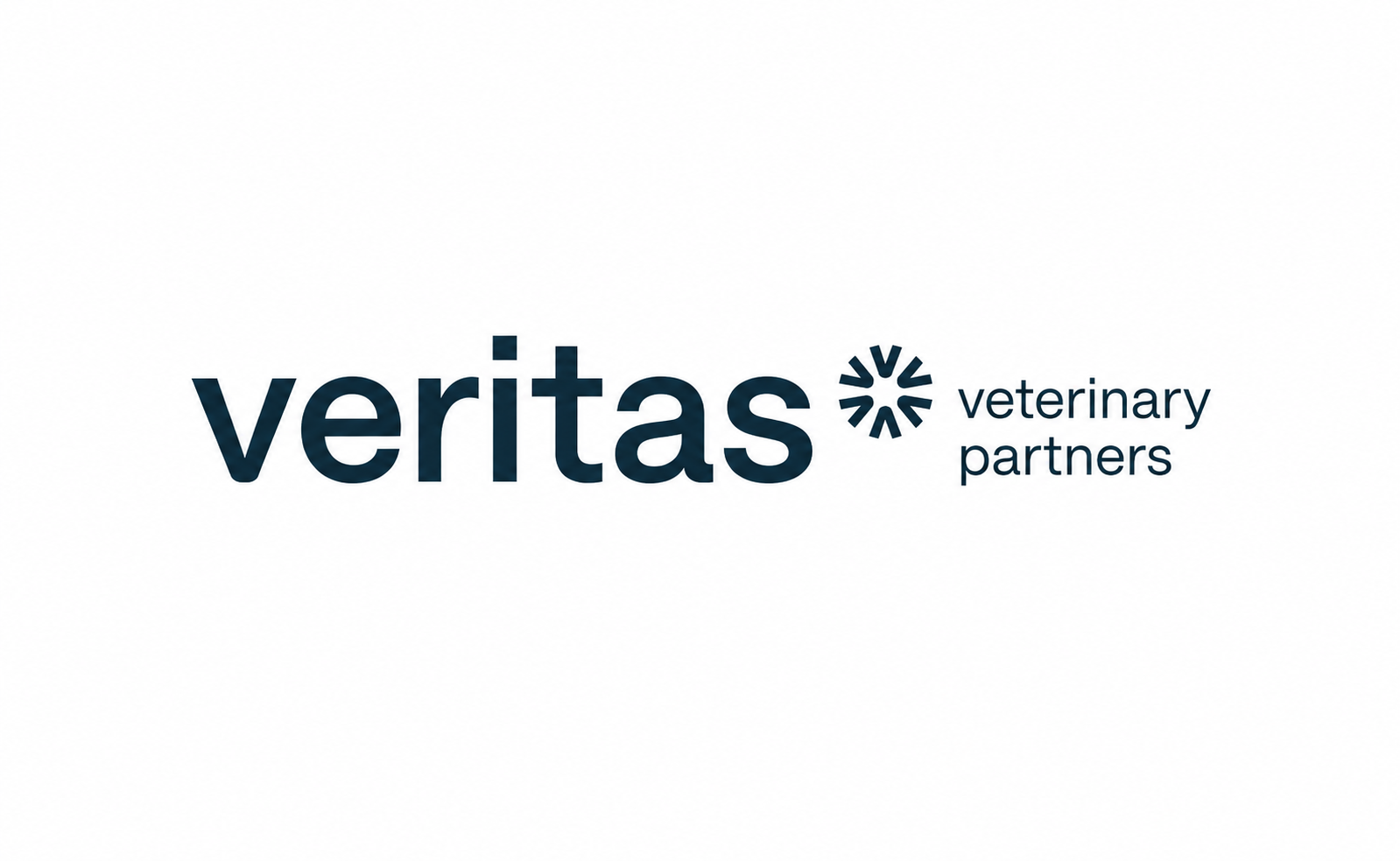 veritas - updated to match other logos