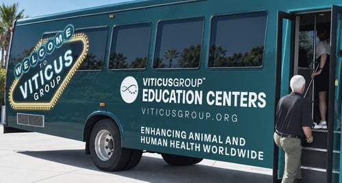 website still of van