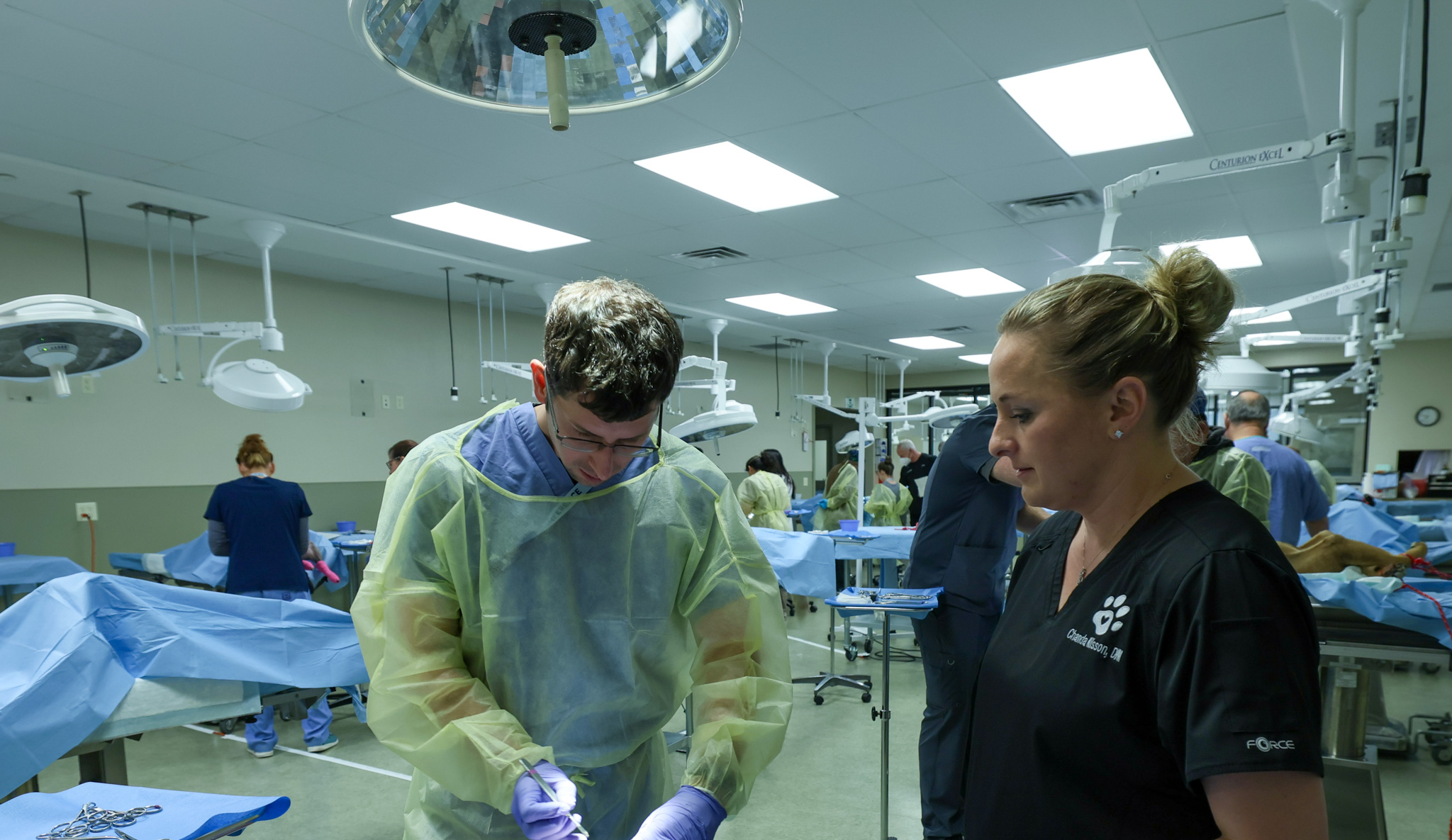 AC 96 meniscus Lab-2