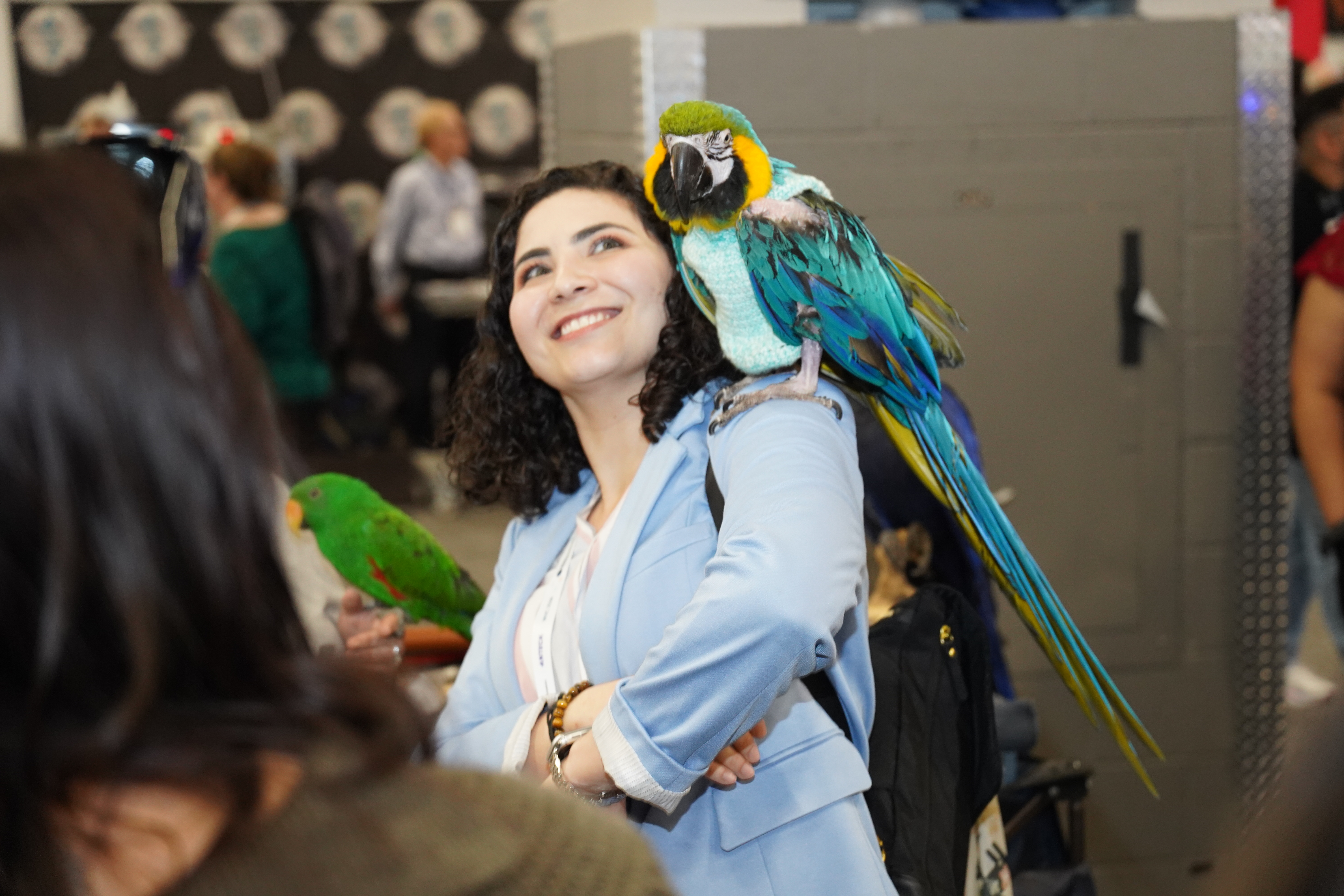 parrot on shoulder argh matey