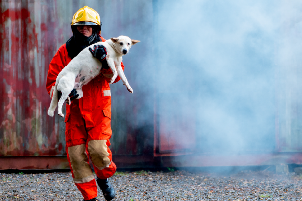 WVC Vegas 2026 Education: Disaster Preparedness Track