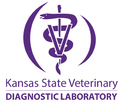 KSVDL logo purple on white