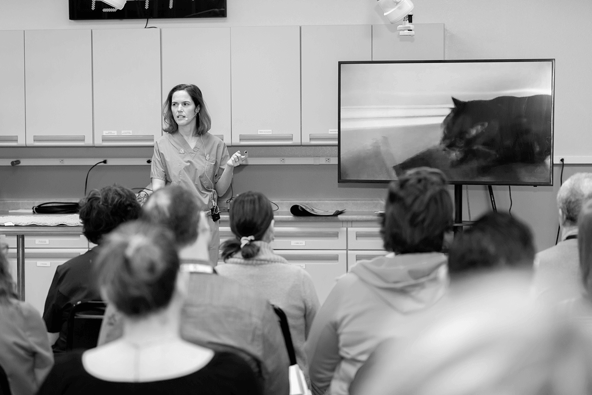 Instructorteaching-BW