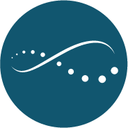 vg-icon-logo-color
